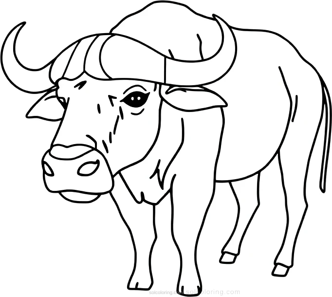 African Buffalo coloring page for kids