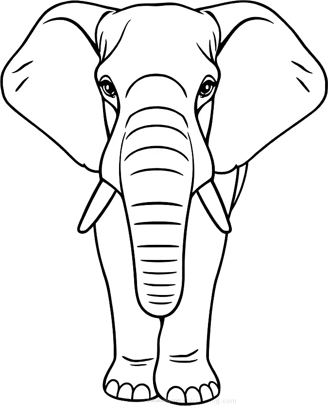 African Elephant coloring page for kids