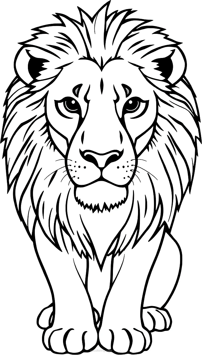 African Lion coloring page for kids