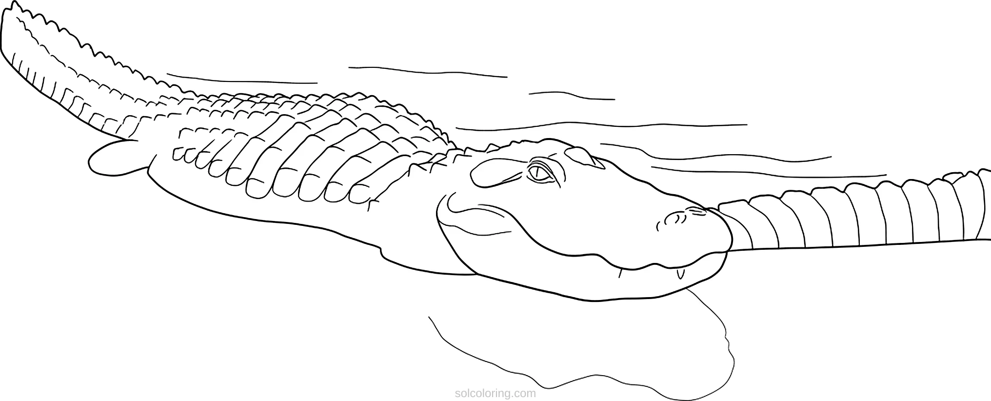 Alligator coloring page for kids