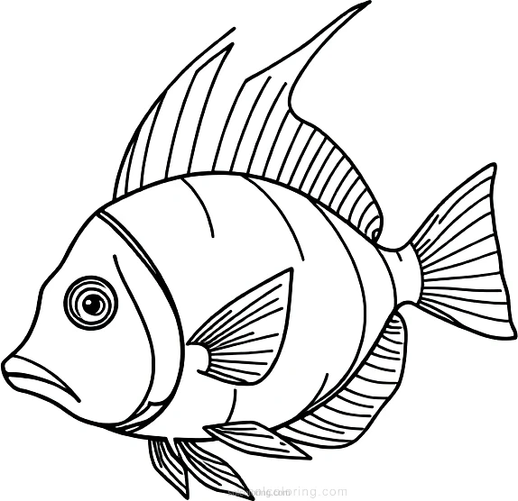 Angelfish coloring page for kids
