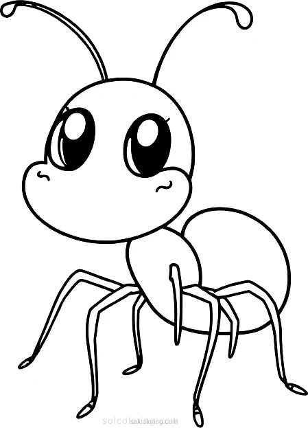 Ant coloring page for kids