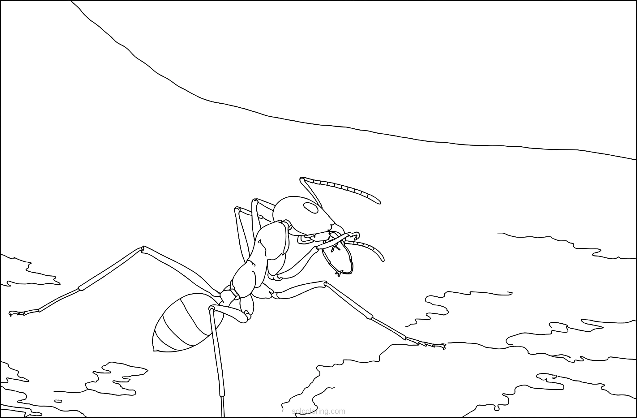 Ant coloring page for kids