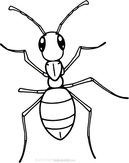 Ant coloring page for kids