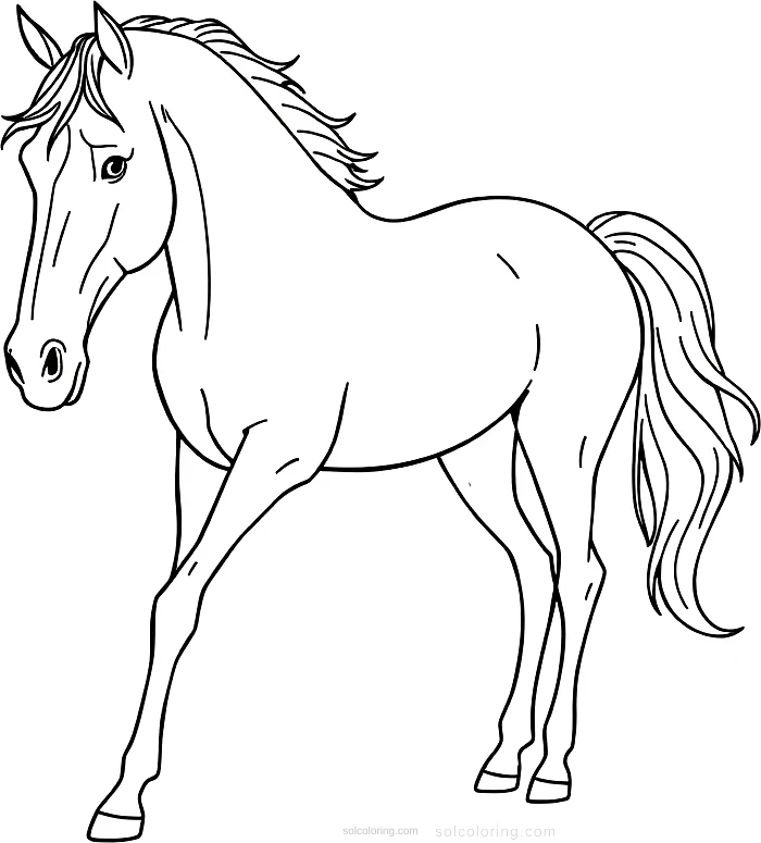Arabian Horse coloring page for kids