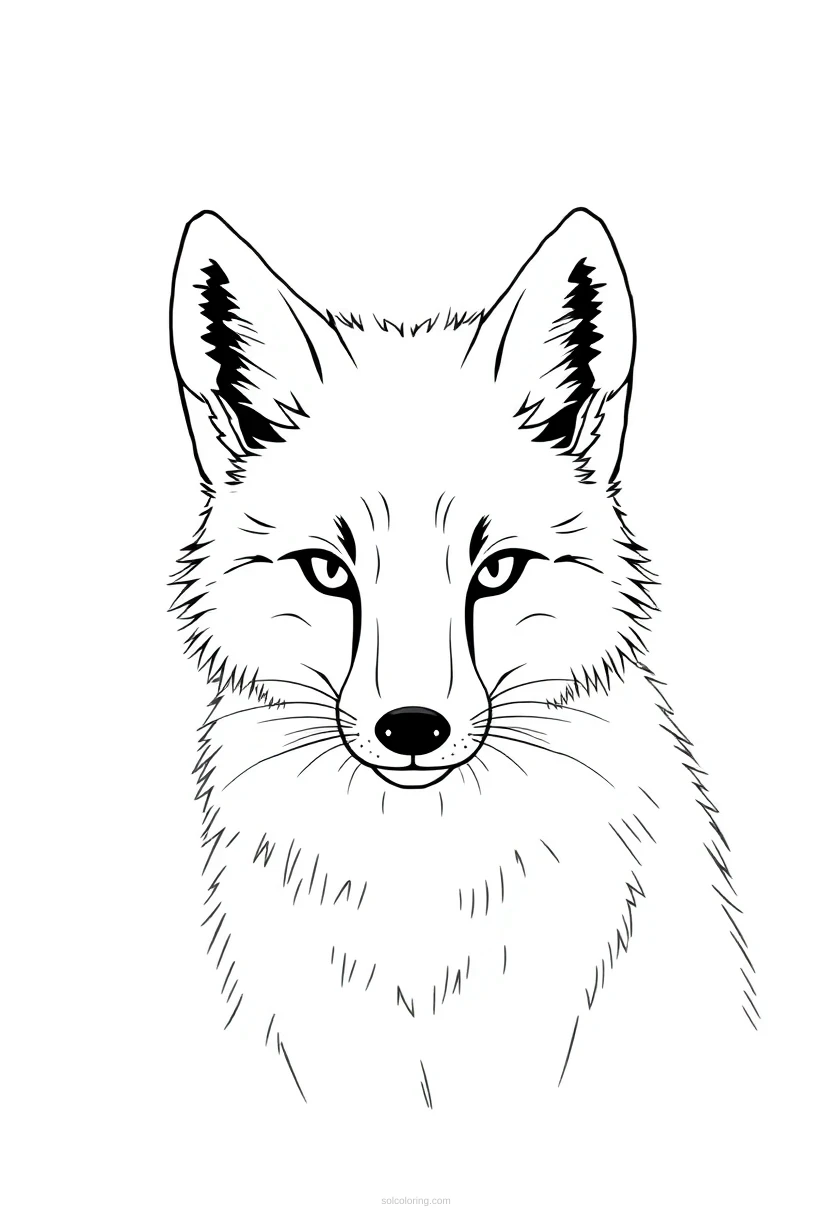 Arctic Fox coloring page for kids