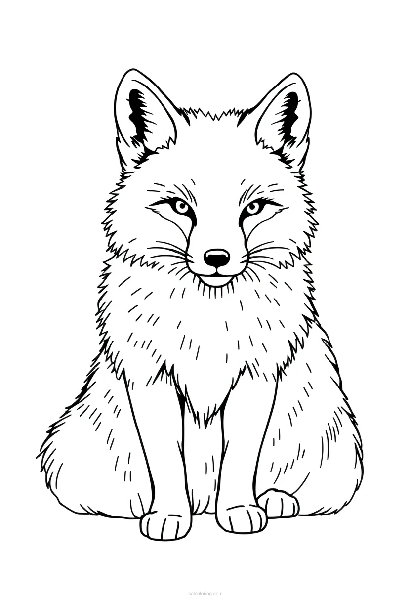 Arctic Fox coloring page for kids