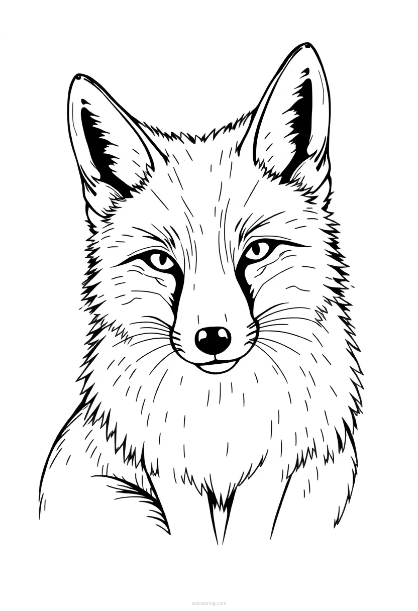 Arctic Fox coloring page for kids