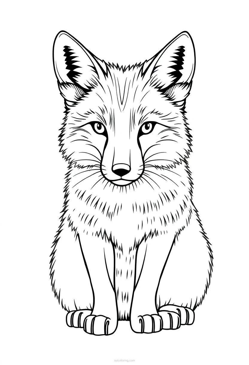 Arctic Fox coloring page for kids