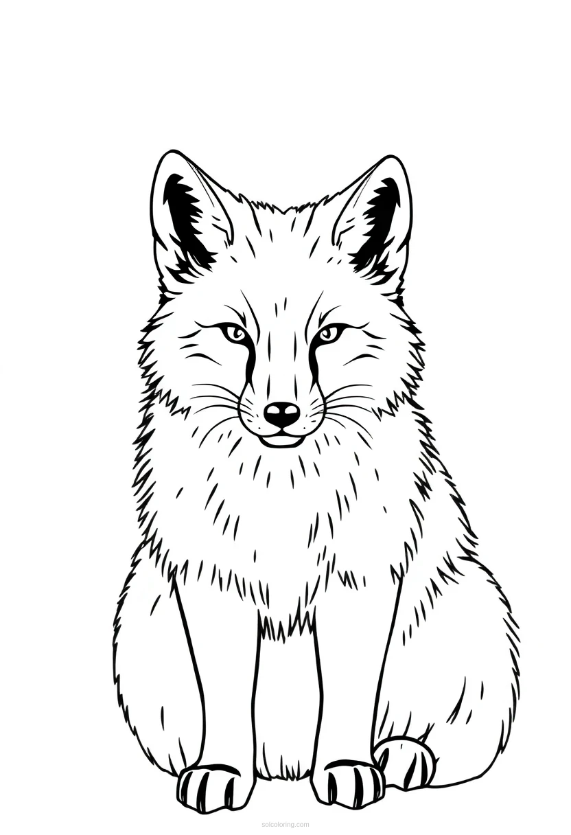 Arctic Fox coloring page for kids
