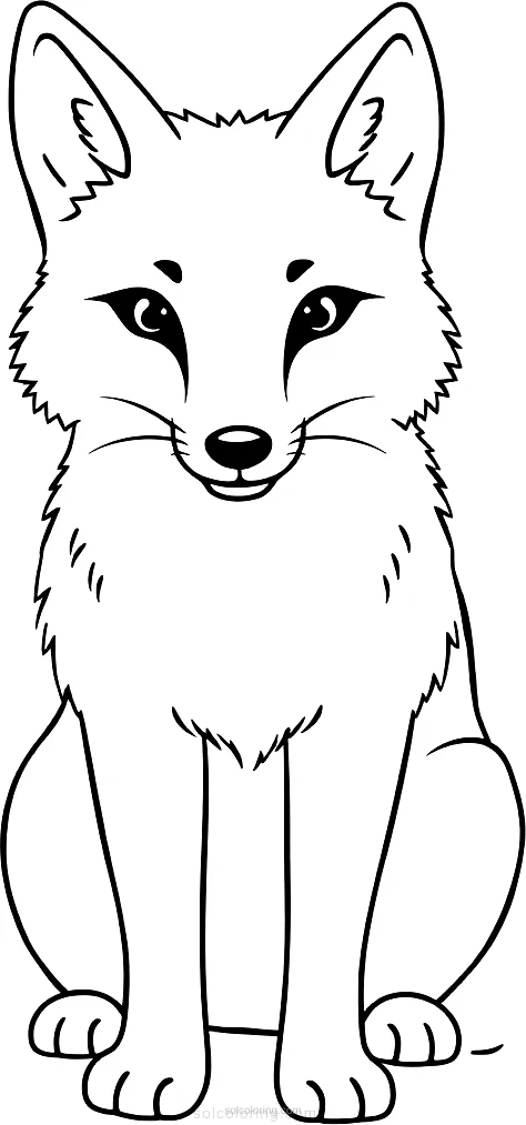 Arctic Fox coloring page for kids