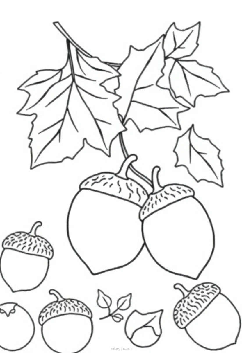 Autumn Leaves and Acorns coloring page for kids