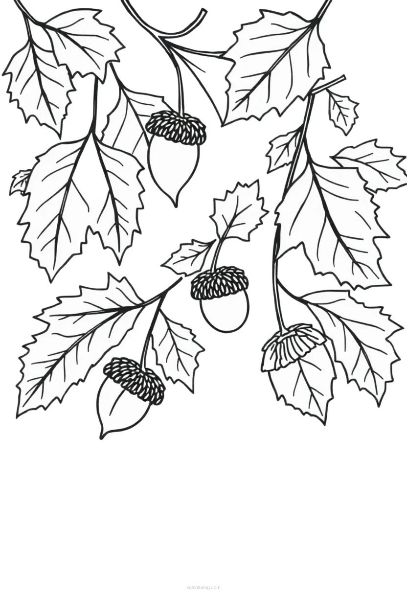 Autumn Leaves And Acorns coloring pages