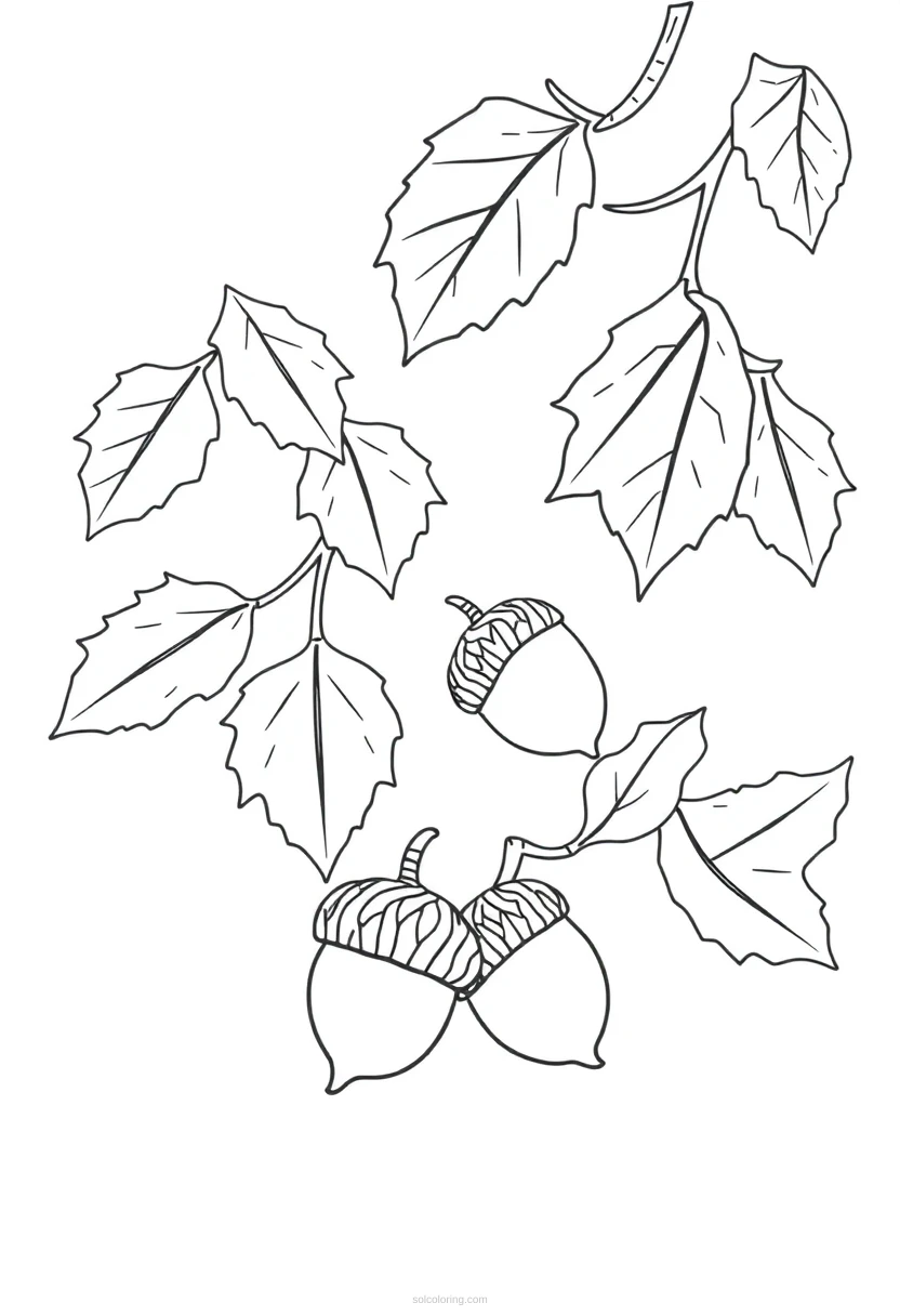 Autumn Leaves and Acorns coloring page for kids