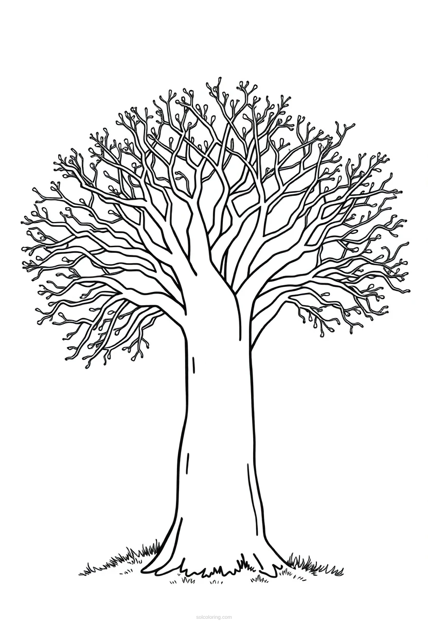 Baobab Tree coloring page for kids