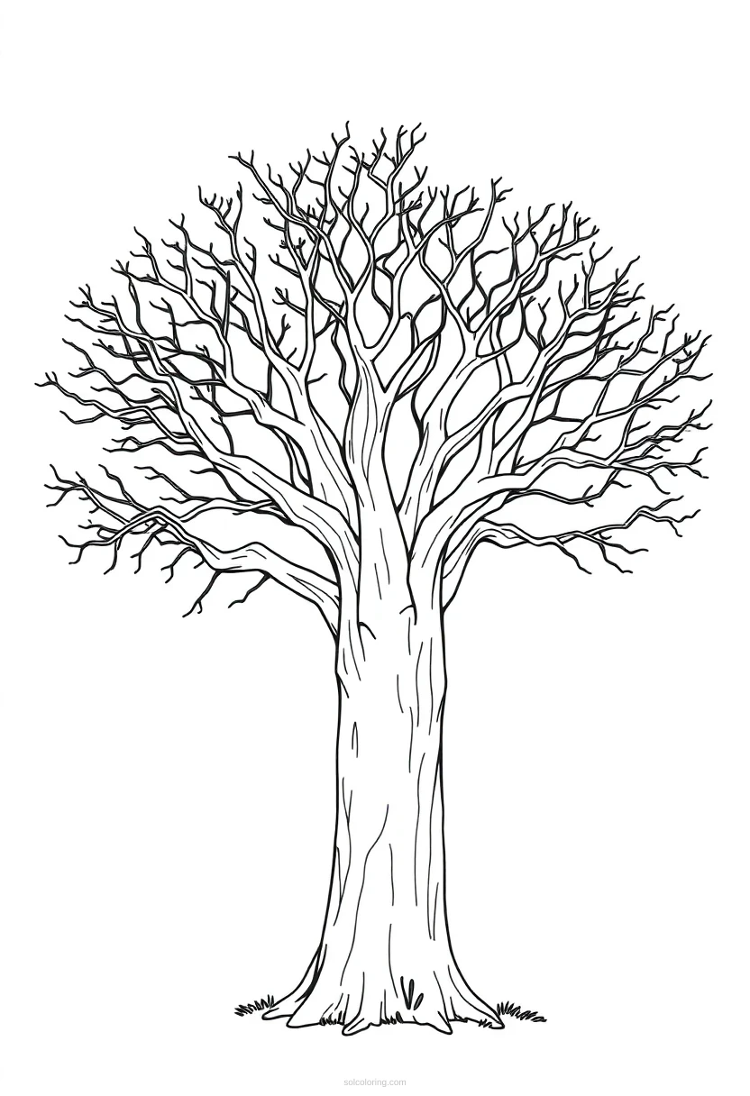 Baobab Tree coloring page for kids