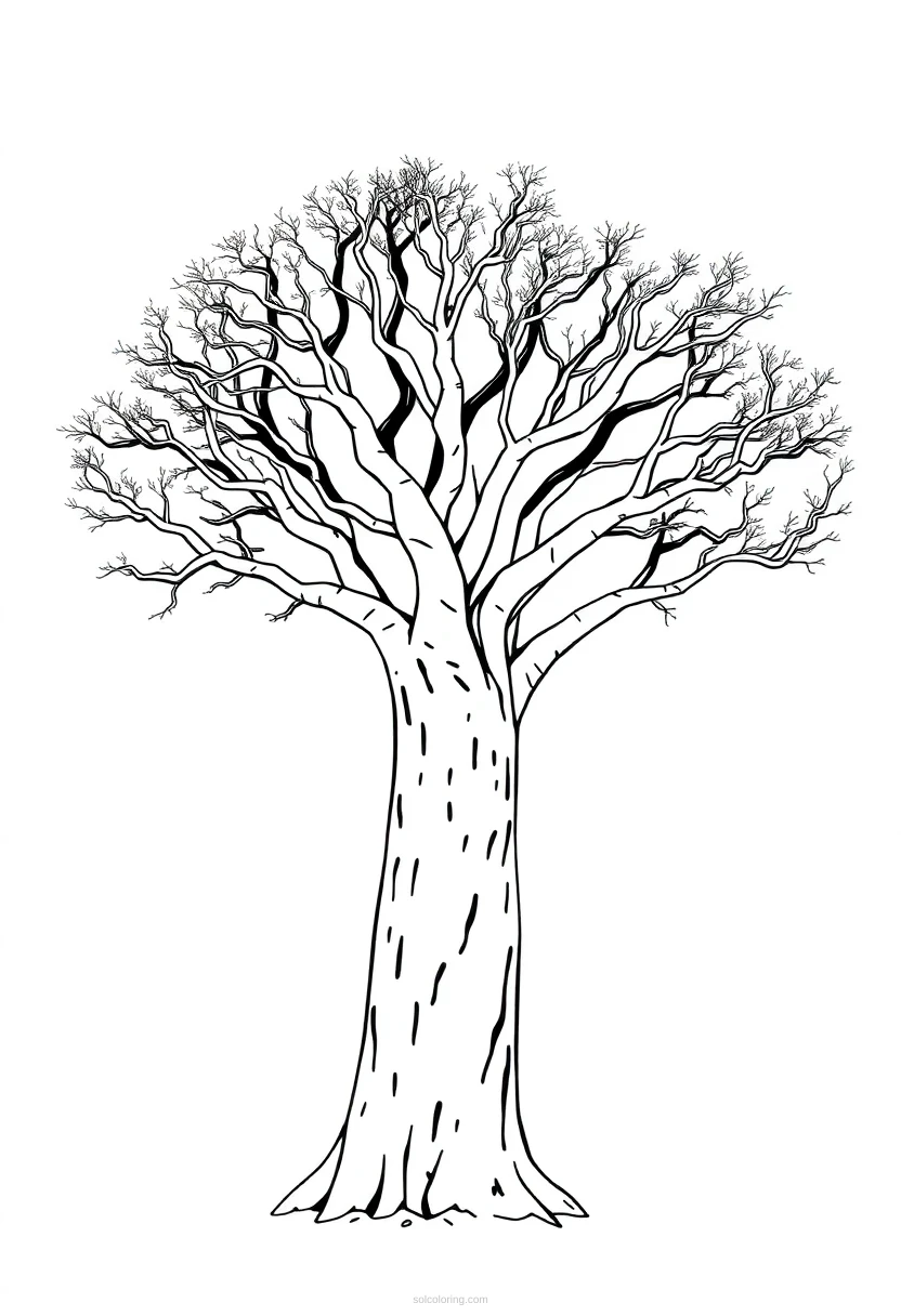 Baobab Tree Mandala coloring pages