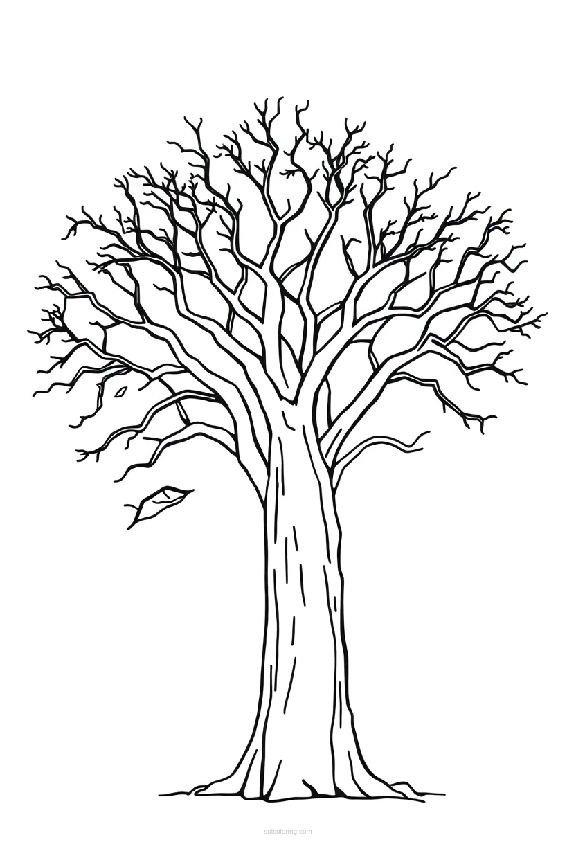 Baobab Tree Mandala coloring page for kids