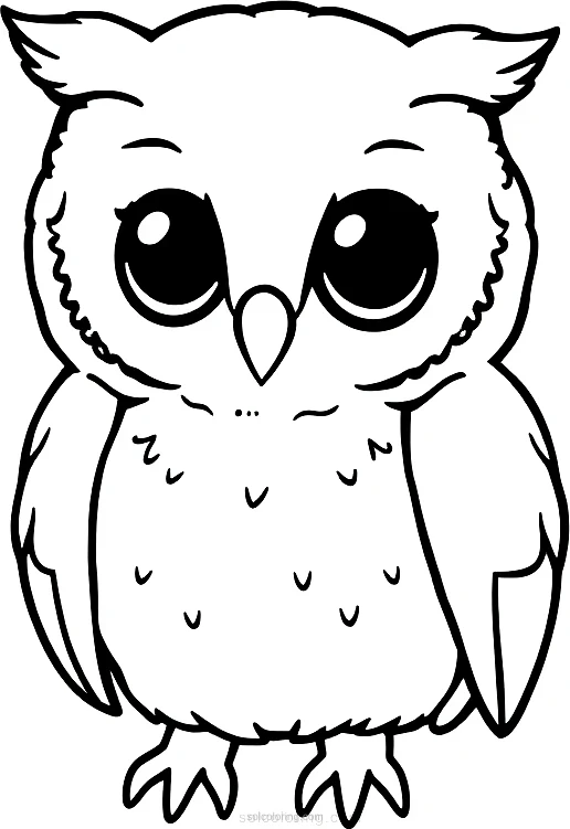 Barn Owl coloring page for kids