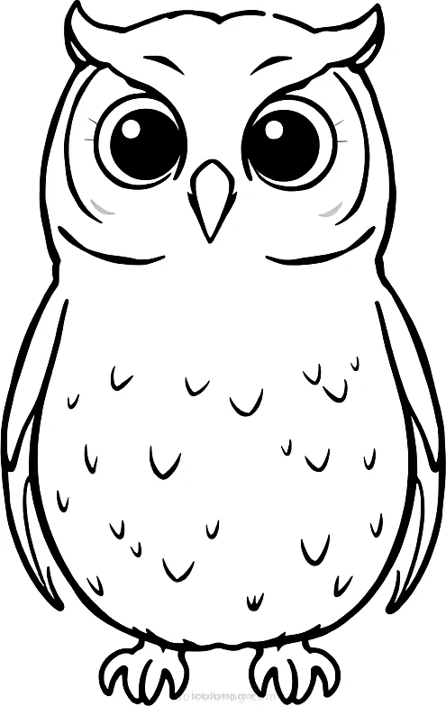 Barn Owl coloring page for kids
