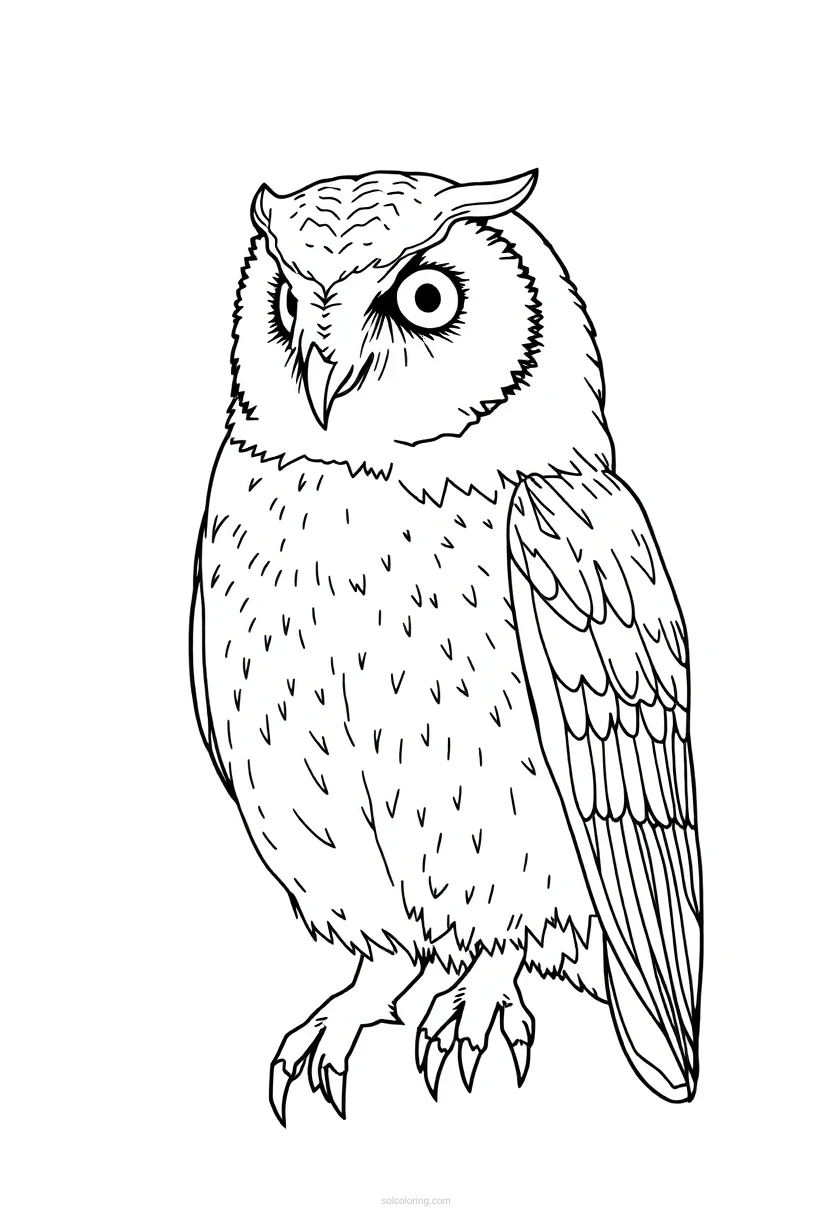 Barn Owl coloring page for kids