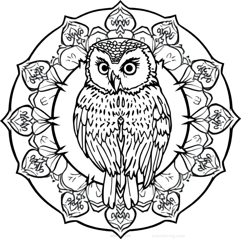 Barn Owl coloring page for kids