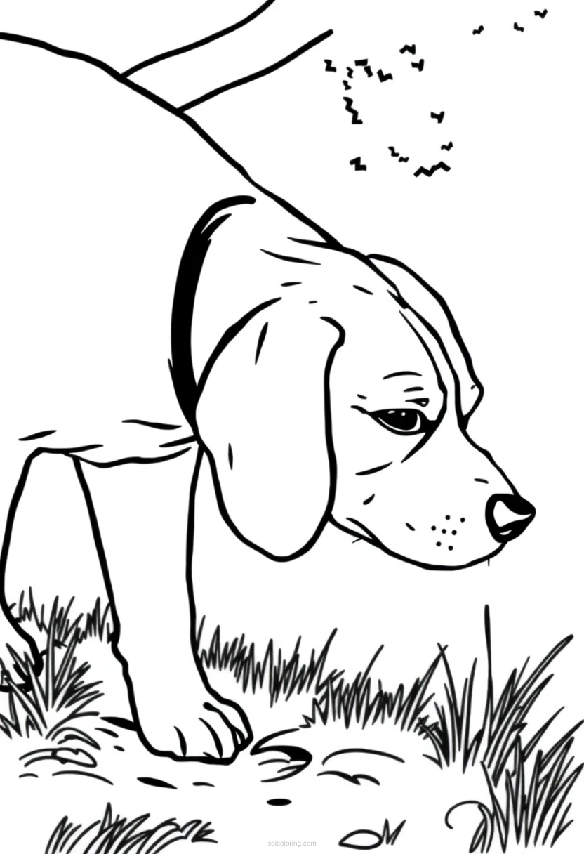 Beagle Sniffing Trail coloring page for kids