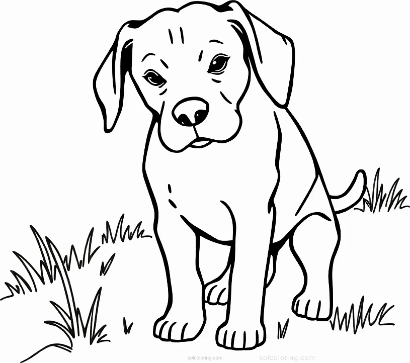 Beagle Sniffing Trail coloring page for kids