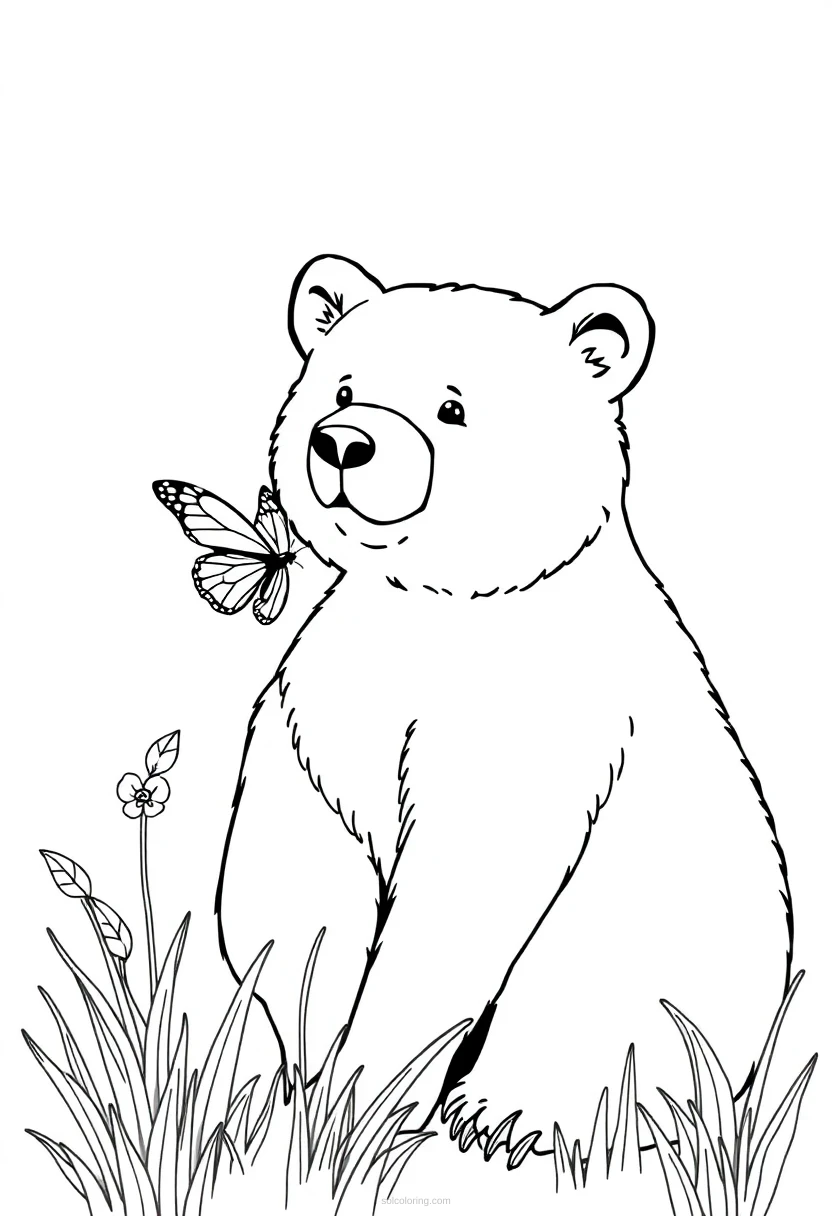 Bear With Butterfly coloring page for kids