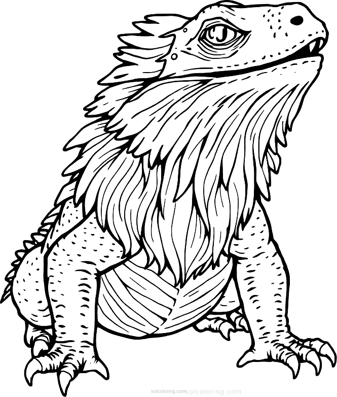 Bearded Dragon coloring page for kids