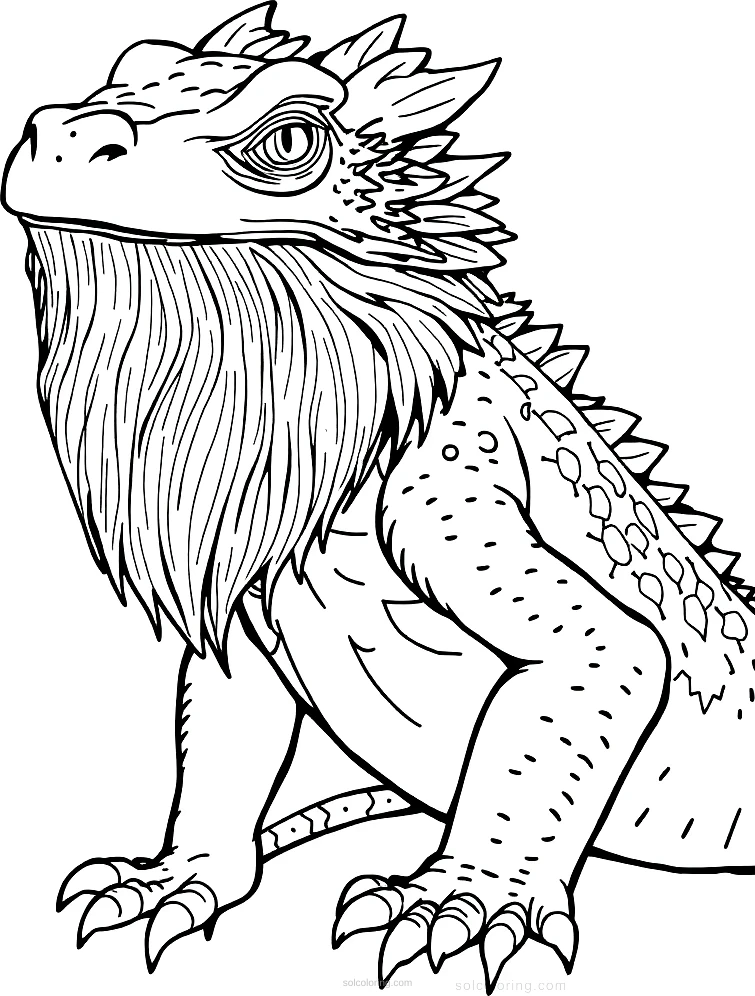 Bearded Dragon coloring page for kids