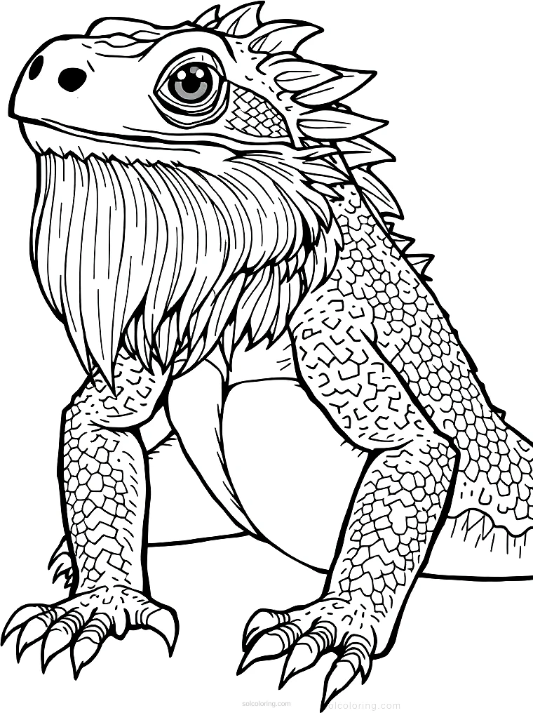 Bearded Dragon coloring page for kids