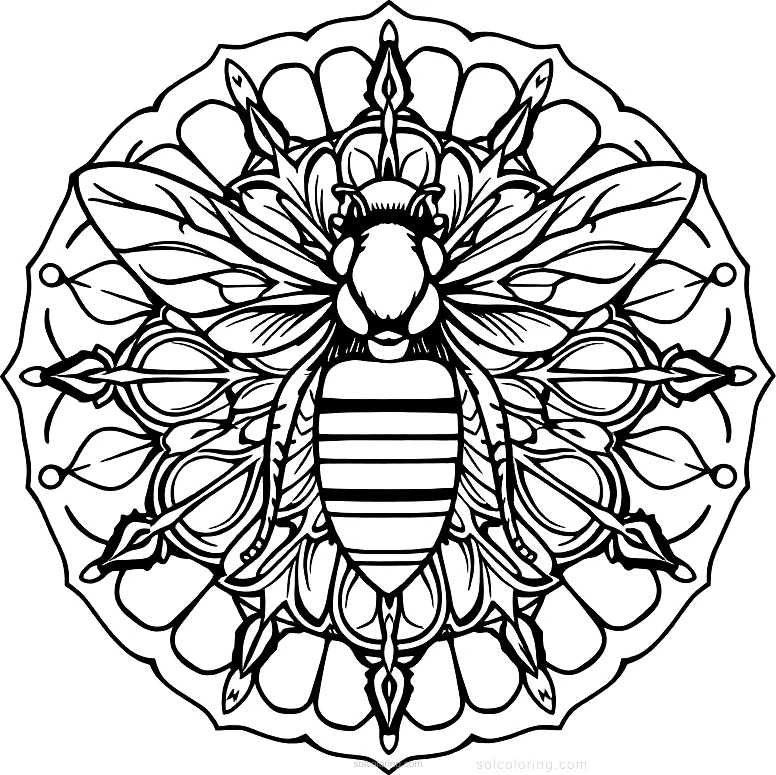 Bee coloring page for kids