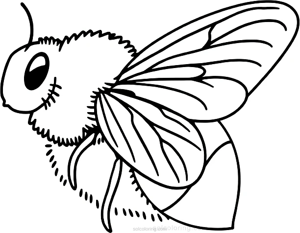 Bee coloring page for kids