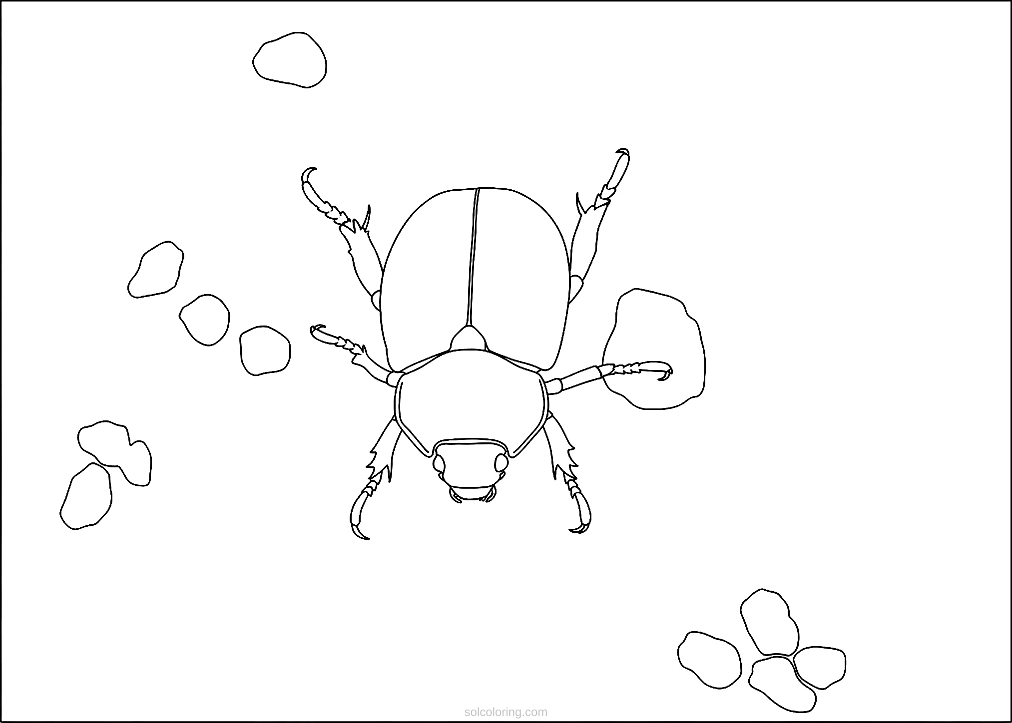 Beetle coloring page for kids