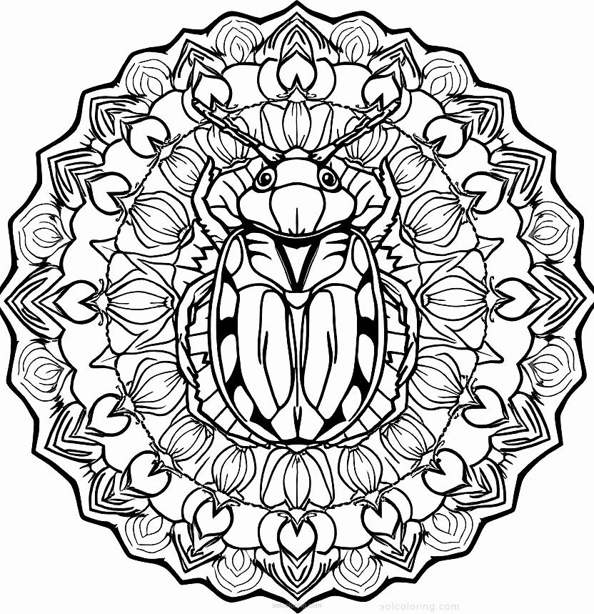 Beetle coloring page for kids