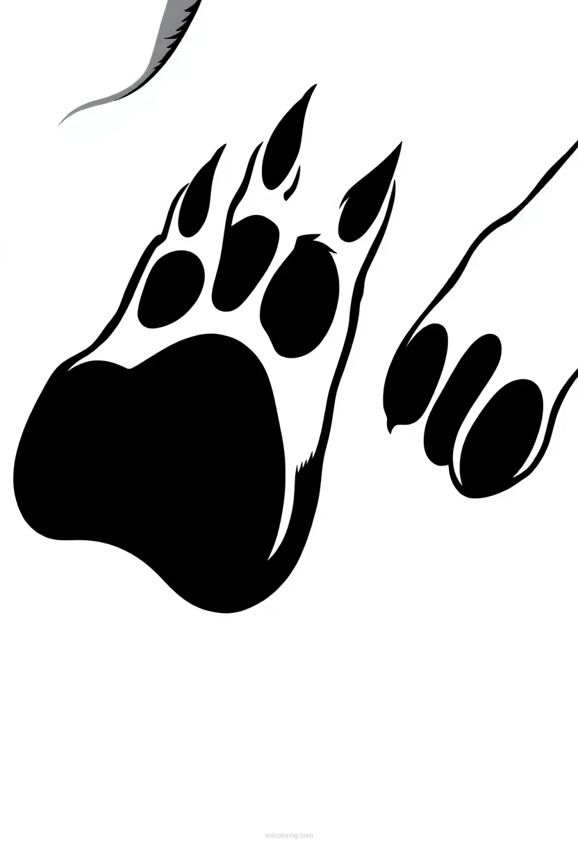 Big Cat Paw Prints coloring page for kids