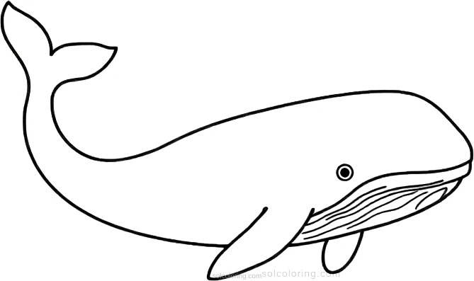 Blue Whale coloring page for kids