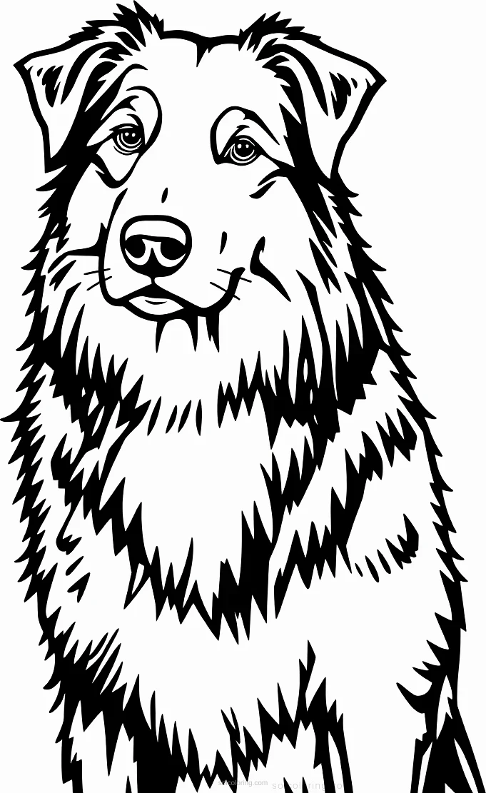 Border Collie Sheepdog coloring page for kids