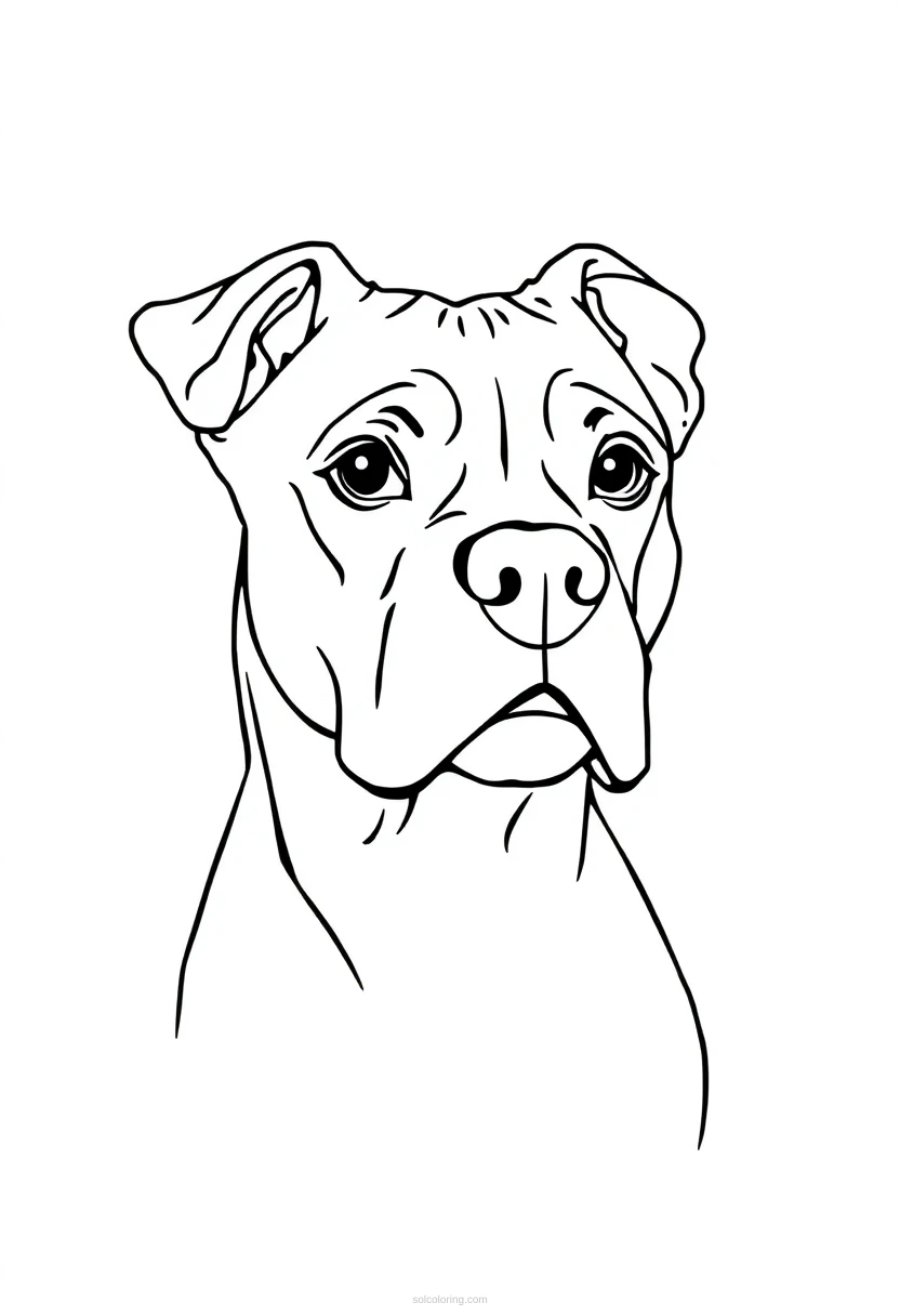 Boxer coloring page for kids
