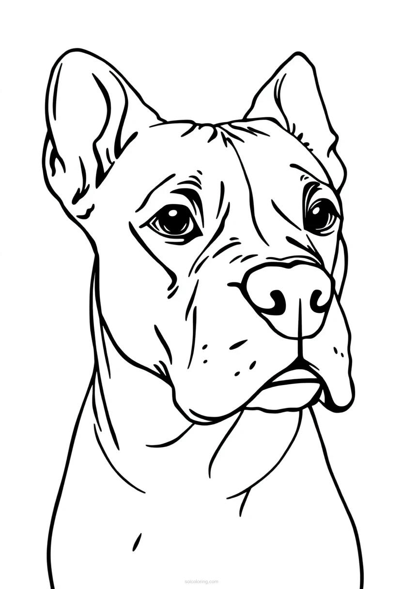 Boxer coloring page for kids