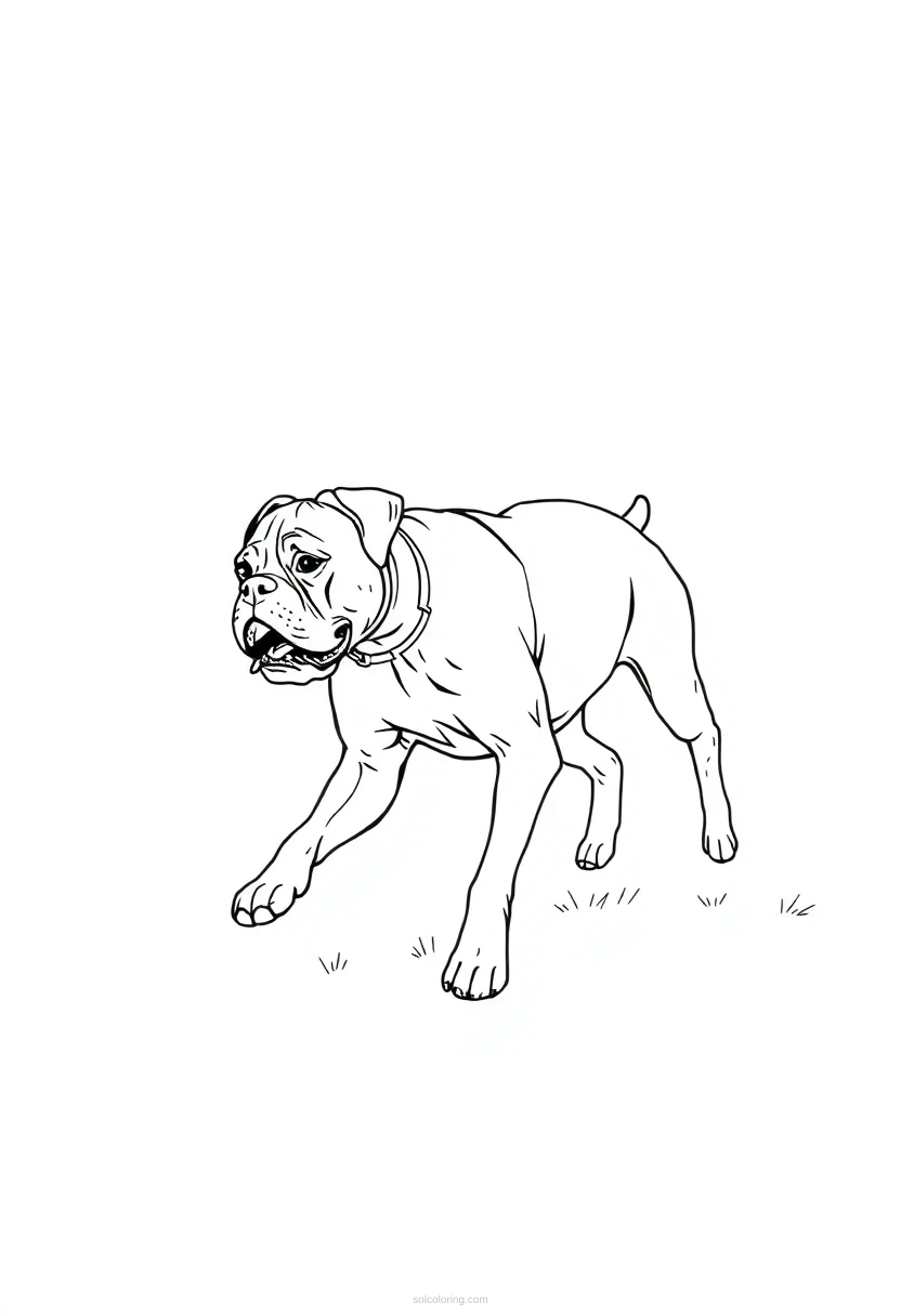 Boxer Dog Playing Fetch coloring page for kids
