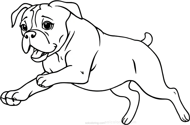 Boxer Dog Playing Fetch coloring page for kids