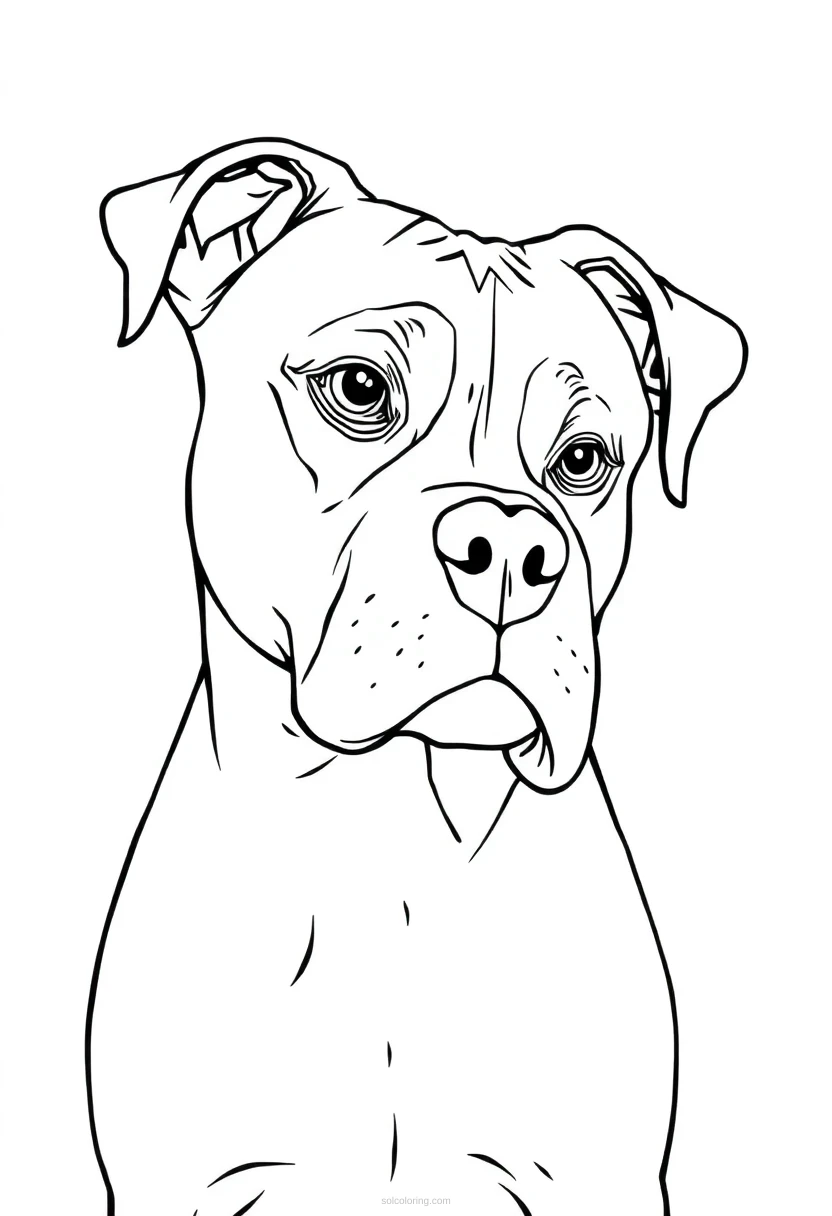 Boxer coloring page for kids