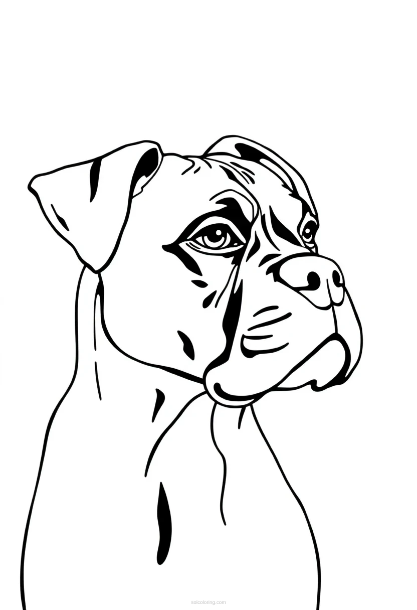 Boxer coloring page for kids