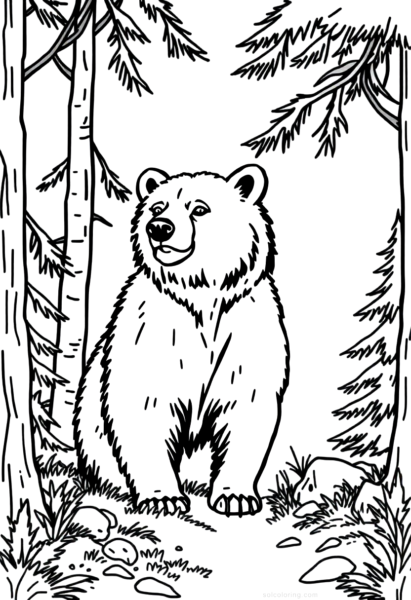 Brown Bear In Forest coloring pages