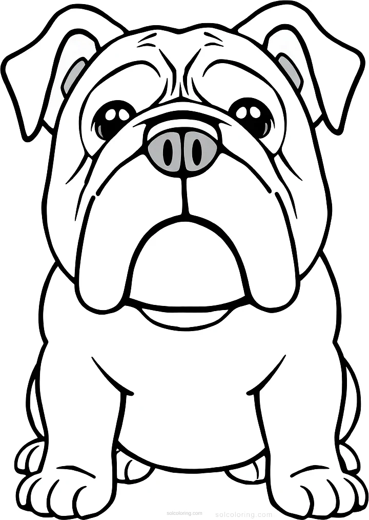 Bulldog With Wrinkled Face coloring page for kids