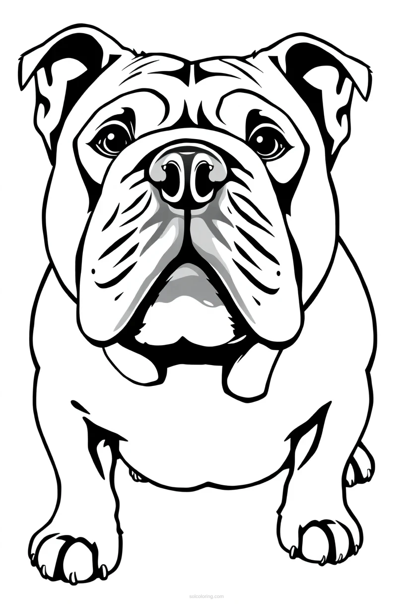Bulldog With Wrinkled Face coloring page for kids