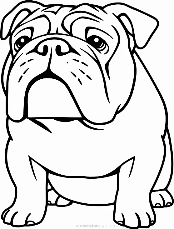 Bulldog With Wrinkled Face coloring page for kids