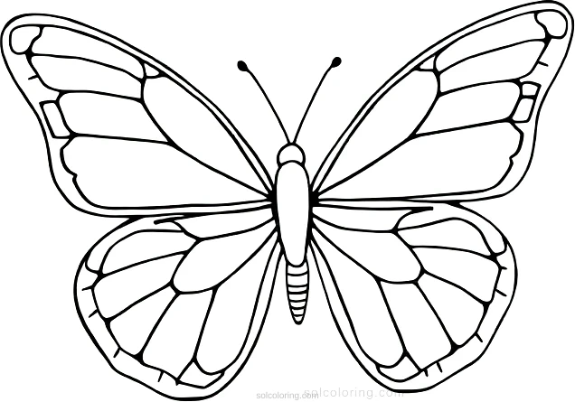 Butterfly coloring page for kids